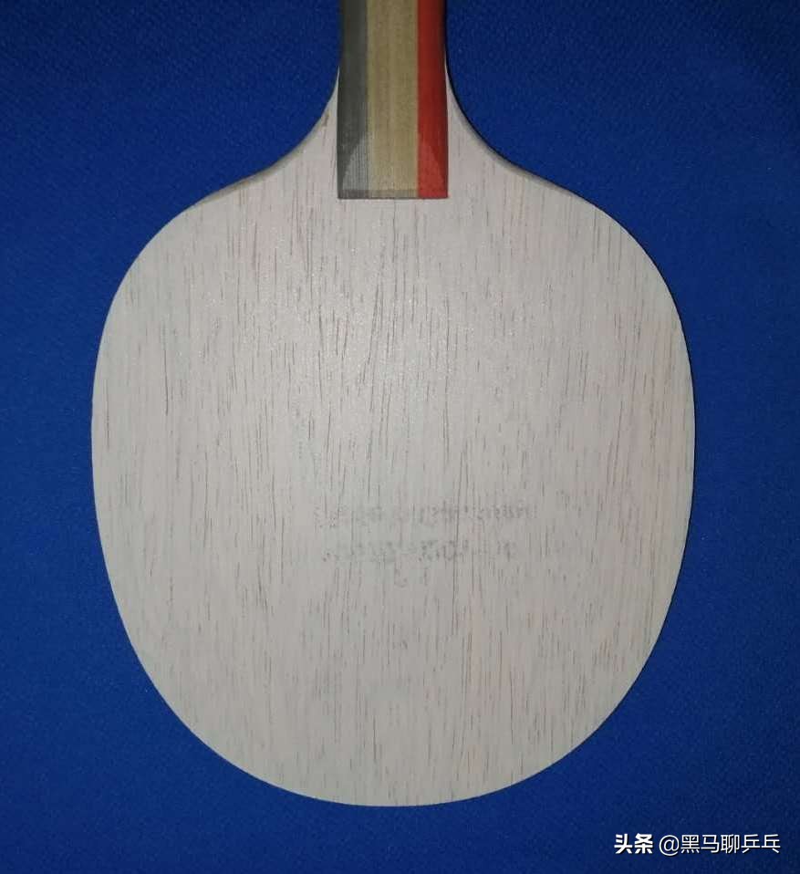 每周乒器观察 65：神板Fortino，不买吉村限量的理由