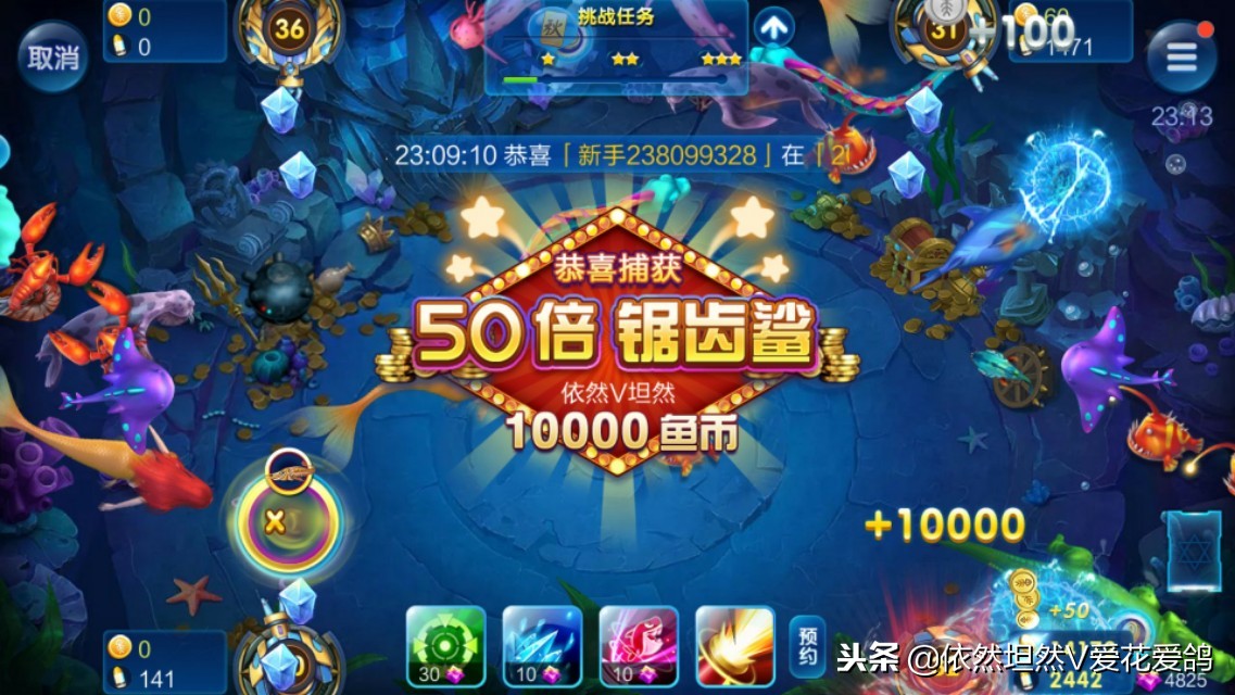 不坑的捕鱼游戏,有没有一款捕鱼游戏不坑的