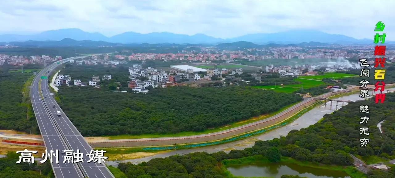 飞阅系列,飞阅新闻最新消息