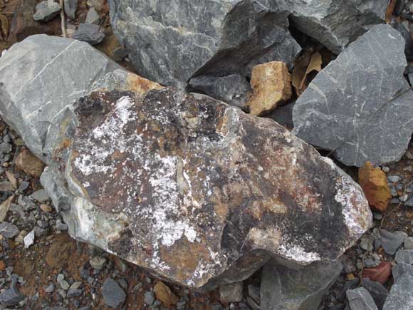 郴州有哪些金属矿,郴州稀有矿产资源