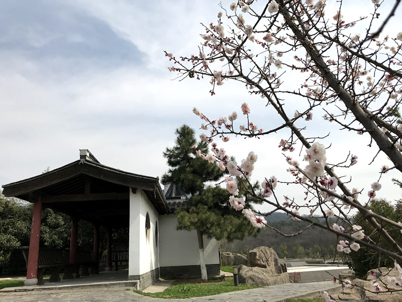 春至牛首，世凹春妆，画中徜徉，处处诗章-游南京江宁世凹桃源