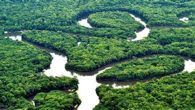 世界上最大的蟒蛇森蚺记录,狂蟒之灾中的巨蟒是森蚺吗