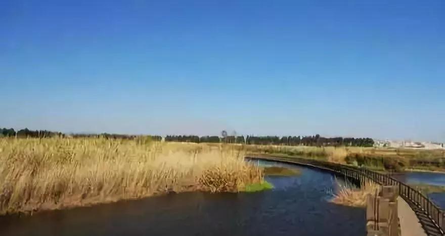 昆明最火网红打卡景点免费的,昆明最近的值得打卡的景点