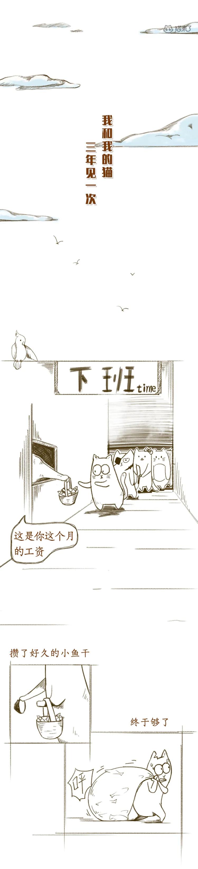 去世三年的猫猫,以前去世的猫咪还会回到你身边吗