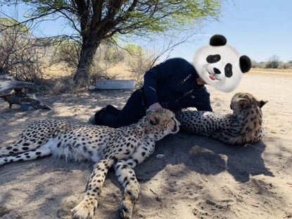 假期撒手没的戏精同事们，竟然在我挤春运的时候吹海风？？（下）