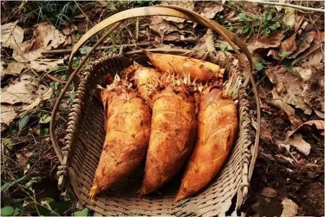 云南特产山货血三七,云南独有的44种野菜