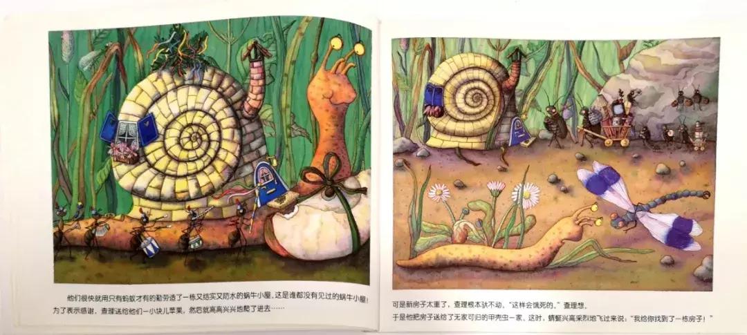 蜗牛躲在小房子里不出来怎么办,没有蜗牛壳的蜗牛是怎么回事