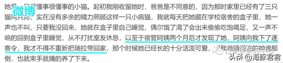 北京小公主靠吸猫血成百万大V，直播整容、大照骗、2年养死3只猫