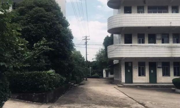 诸暨市综合高中,诸暨综合高中