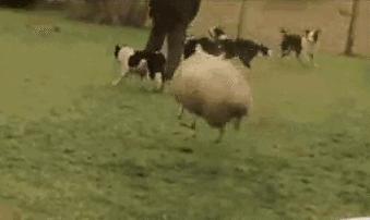 鼻涕眼泪的搞笑图片,一把眼泪一把鼻涕的搞笑图片