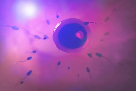 关于试管婴儿，女性必须知道的8个实情，这对成功率有很大的帮助