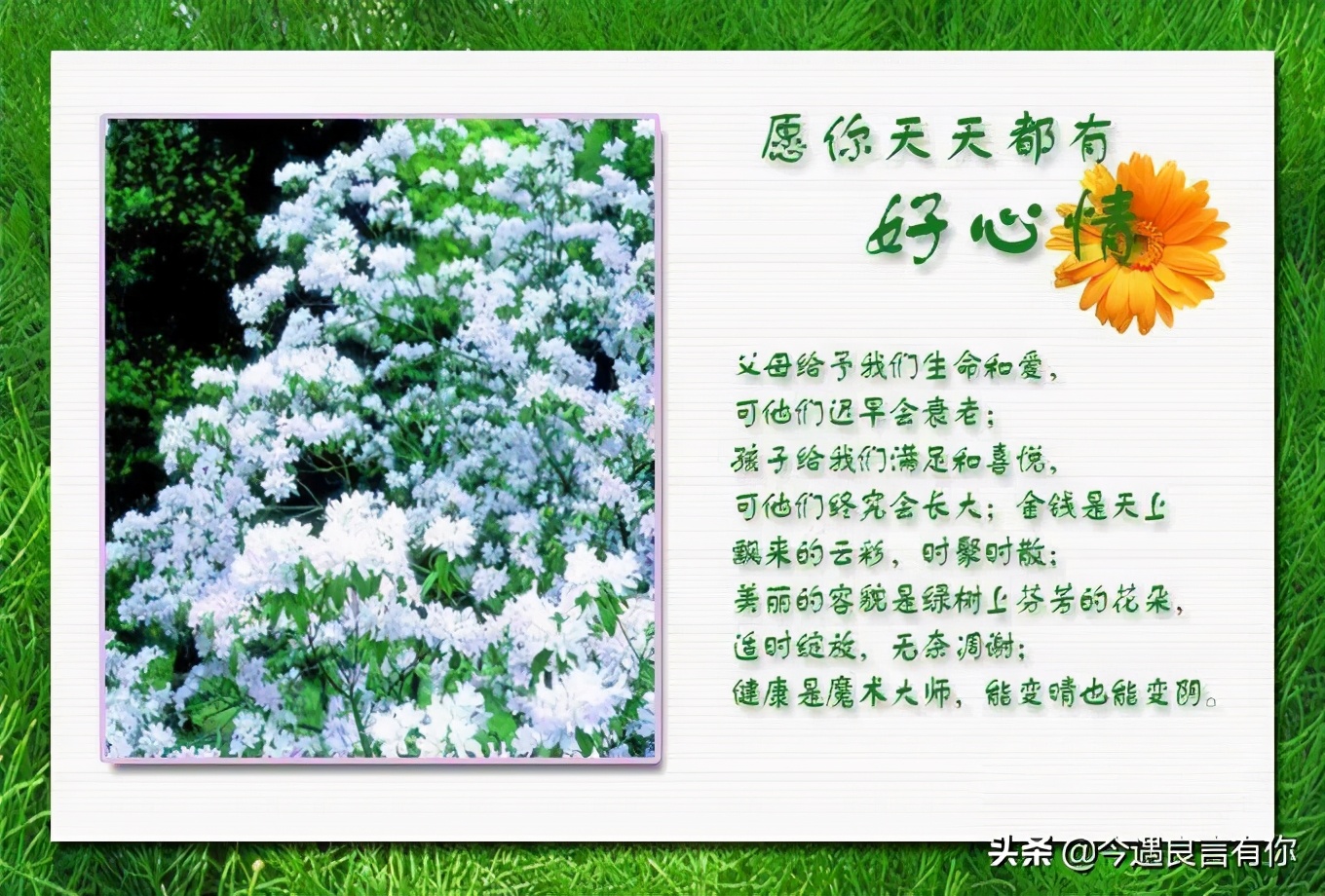 遇到烦心事怎么化解,遇到烦心事怎么调节心情