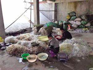 怎样规范医疗废物的处理,检察院医疗废物处置专项监督检查