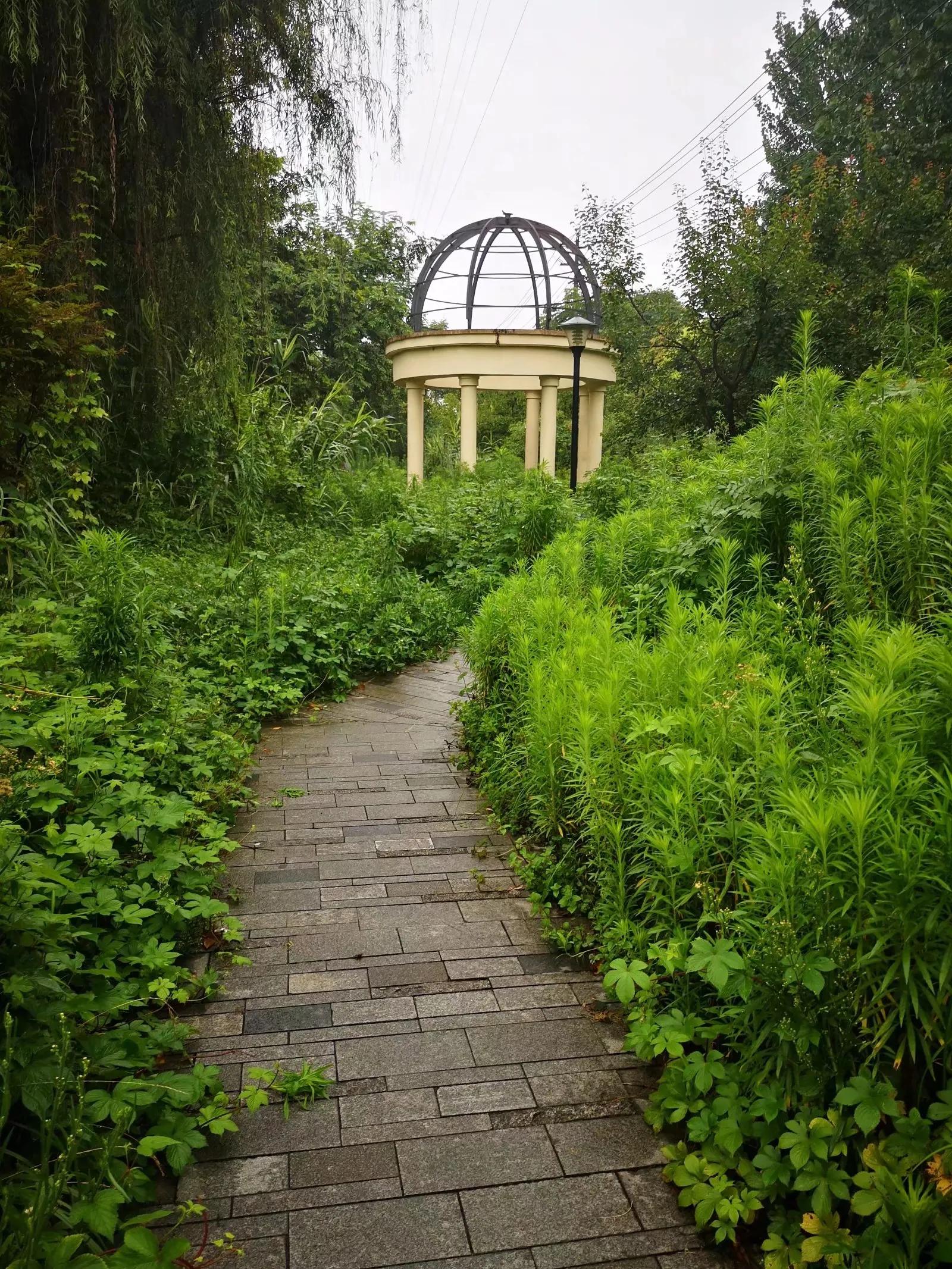 红光,一座荣光与梦想并存的小城