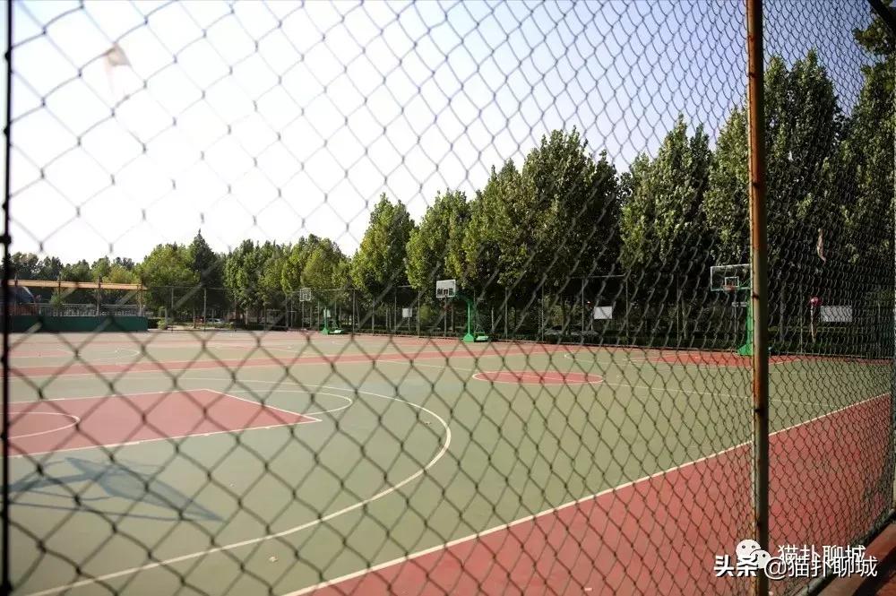 山东聊城室外篮球场,聊城篮球野球场