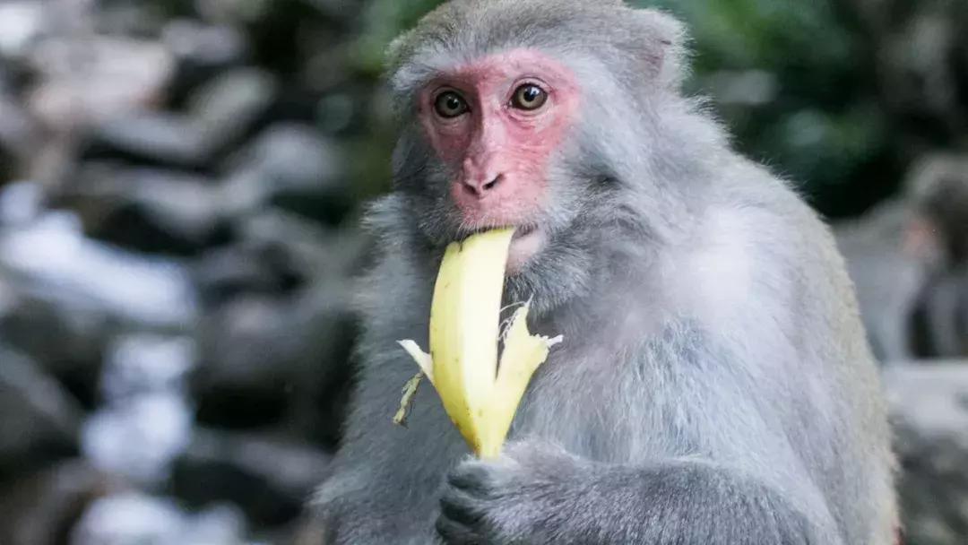 贺州姑婆山天然氧吧,姑婆山天然氧吧