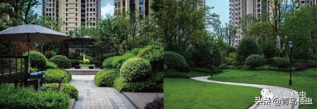 国家级新区成立时间排名,青岛西海岸新区未来的中心在哪