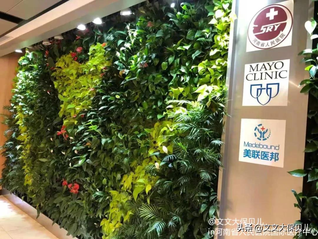 高端医疗险续保保费,高端医疗险要有什么条件