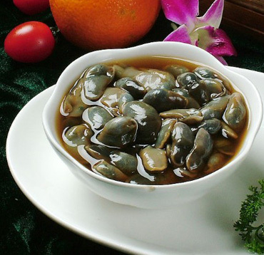 东方湿地之都因什么而得名,东方湿地魅力之都