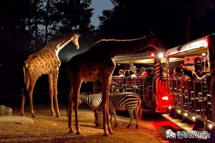 清迈清莱最值得游的景点,清迈旅游景点大全排名