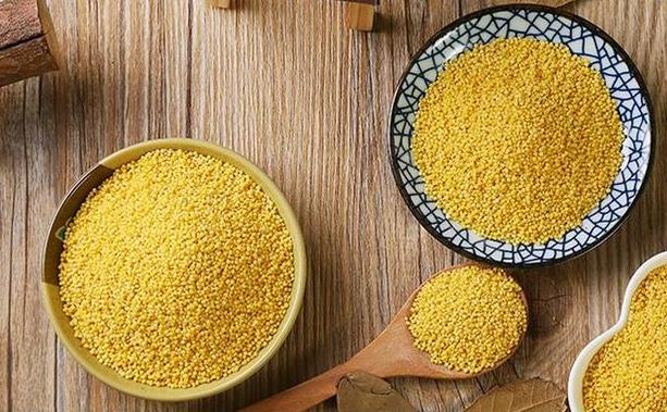 小米是粗粮吗对糖尿病有好处吗,小米乃五谷之首的功效