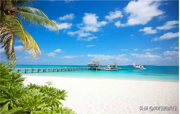 马尔代夫岛自由行攻略,马尔代夫居民岛穷游攻略