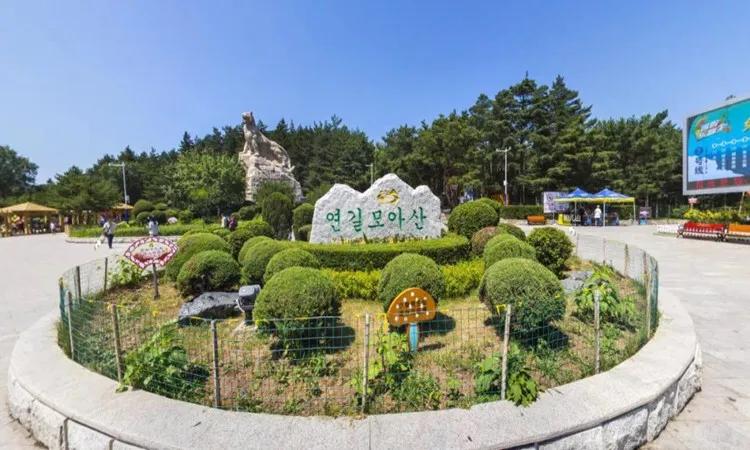 延吉旅游景点美食推荐,延吉市美食旅游攻略年糕火锅