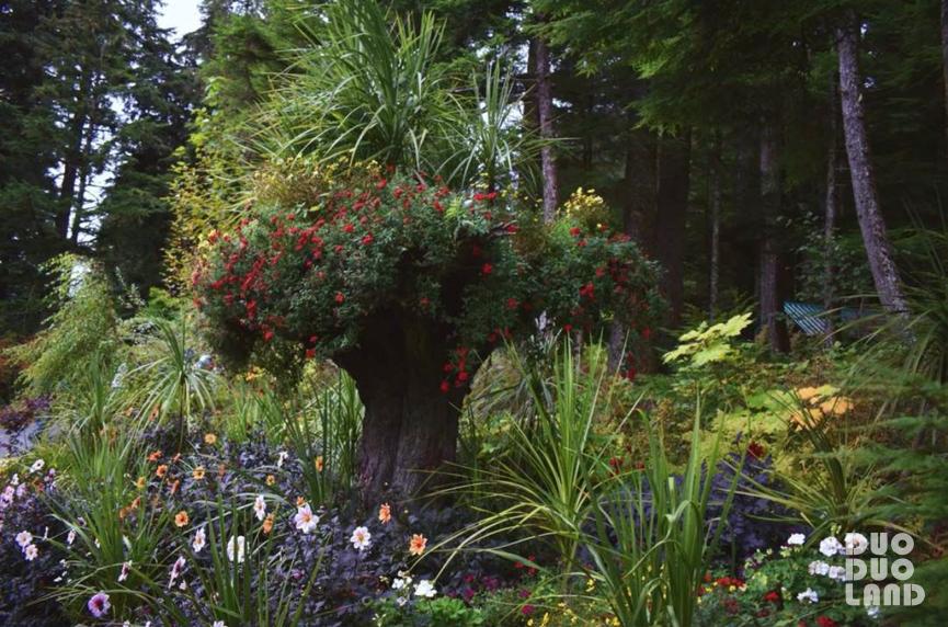 多·样|Evelyn:那些来自大自然的馈赠,原来都在旅行的日子里