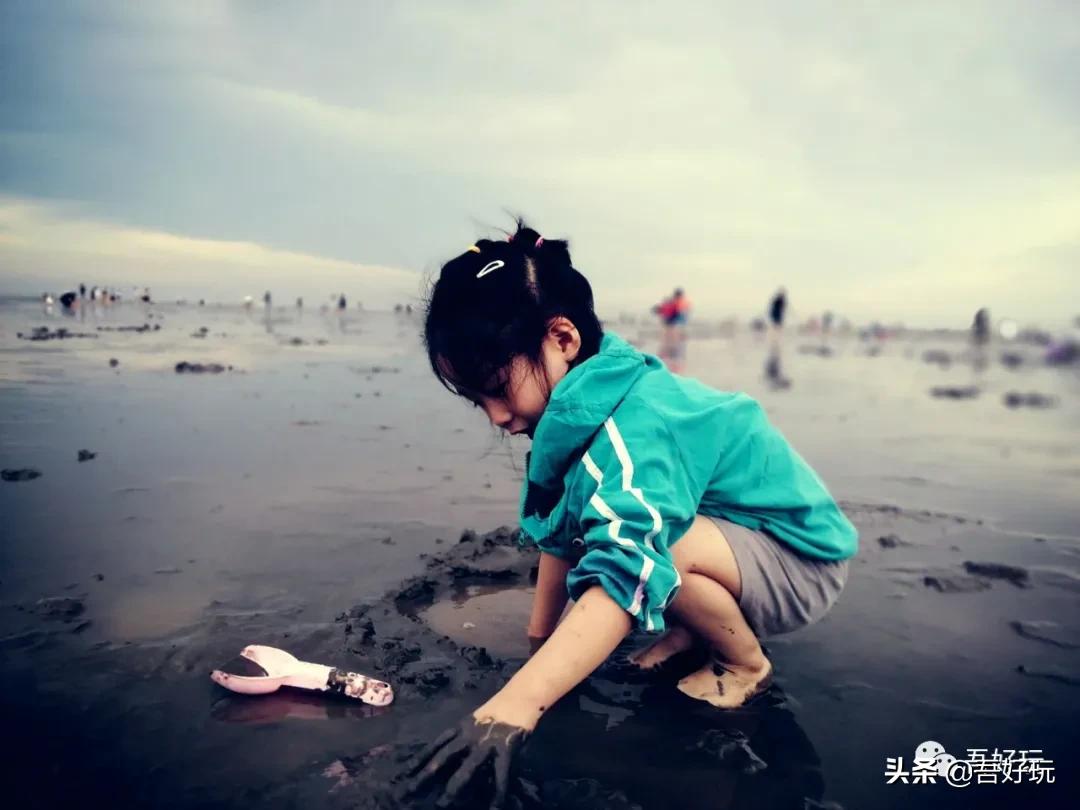 遛娃|南汇新城海滩，魔都夏日必打卡？