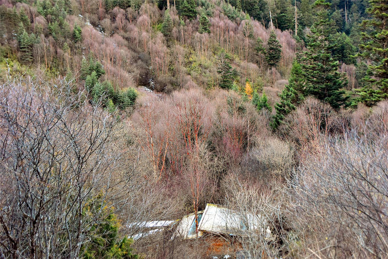 置身于童话中的九寨沟,畅游人间仙境黄龙九寨沟七日游