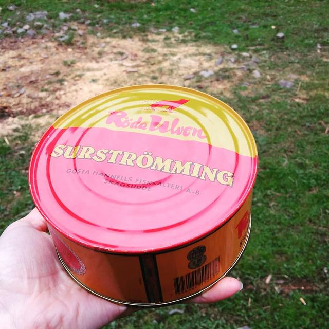 臭的鲱鱼罐头和不臭的区别,臭鲱鱼罐头闻一下直接吐了