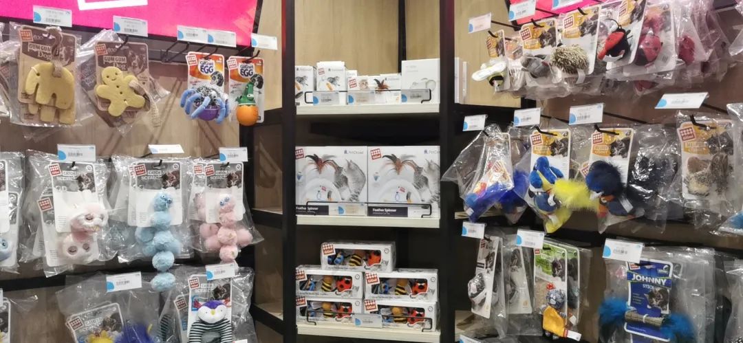 欢迎同行入内,这是一家为宠物店而开的宠物