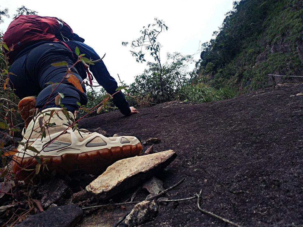 要尽兴,lowazephyrgtx评测