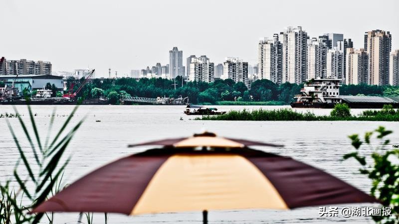 生态天兴洲，美在水云间