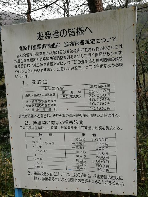 外国游客在日本钓鱼是一个什么样的体验?