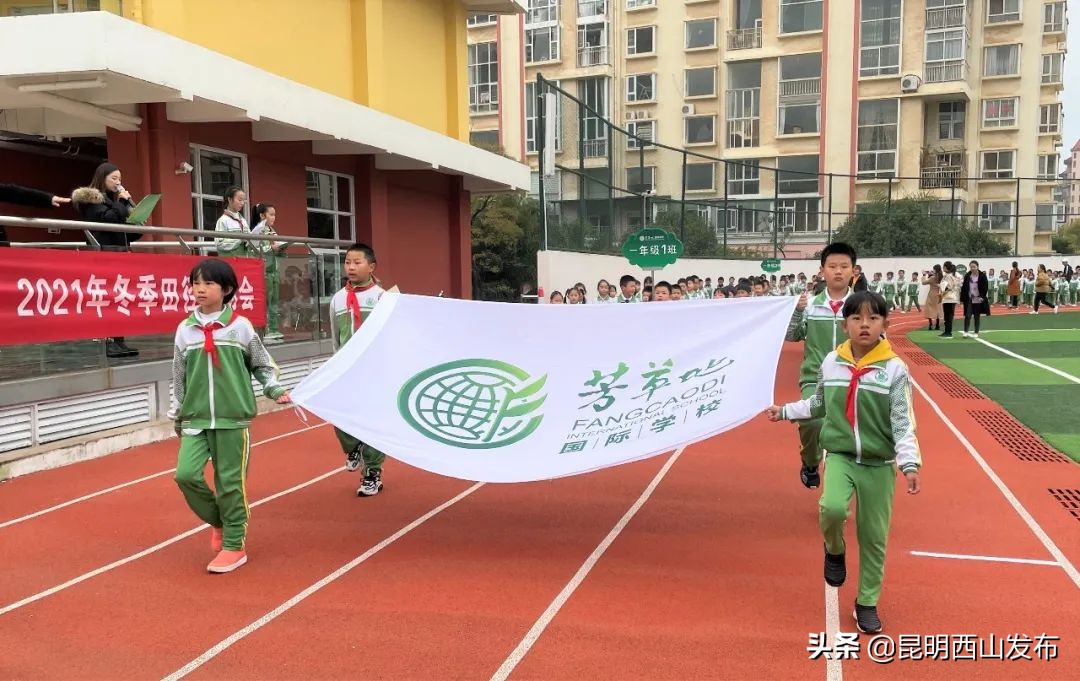 运动健儿在赛场上奋勇拼搏的英姿,奋力拼搏赛出风采