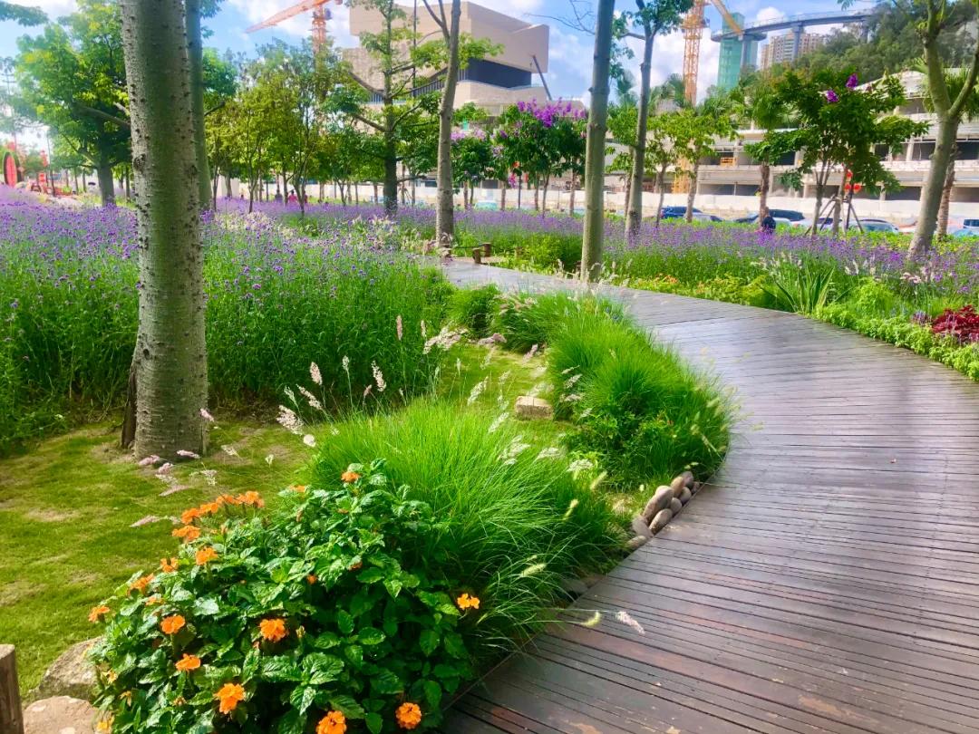 花园庭院设计花卉园艺,花园搭配的草类植物