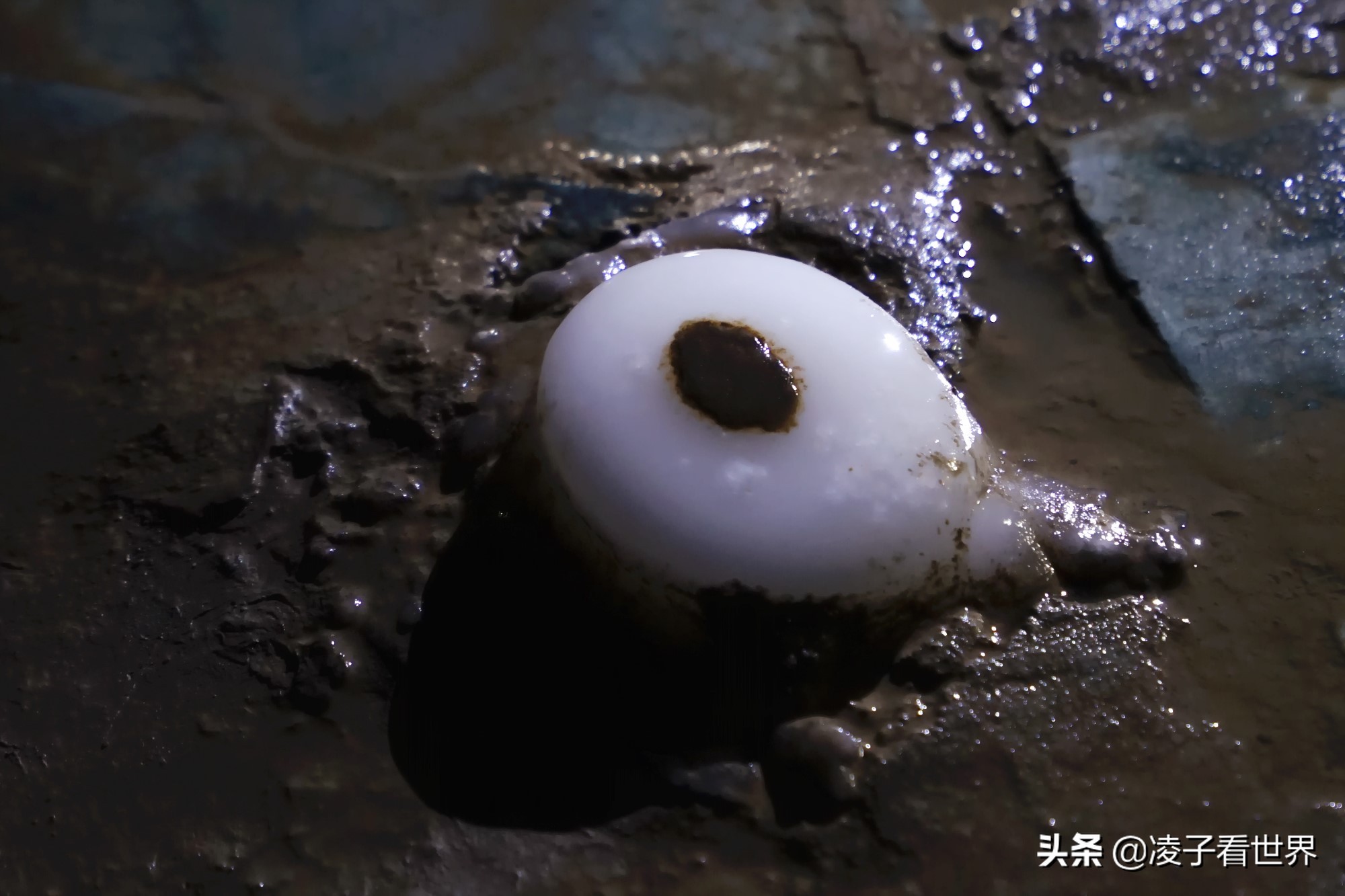 逃离北京40度高温，房山享受22度清凉，看银狐，逛古街吃铁锅炖