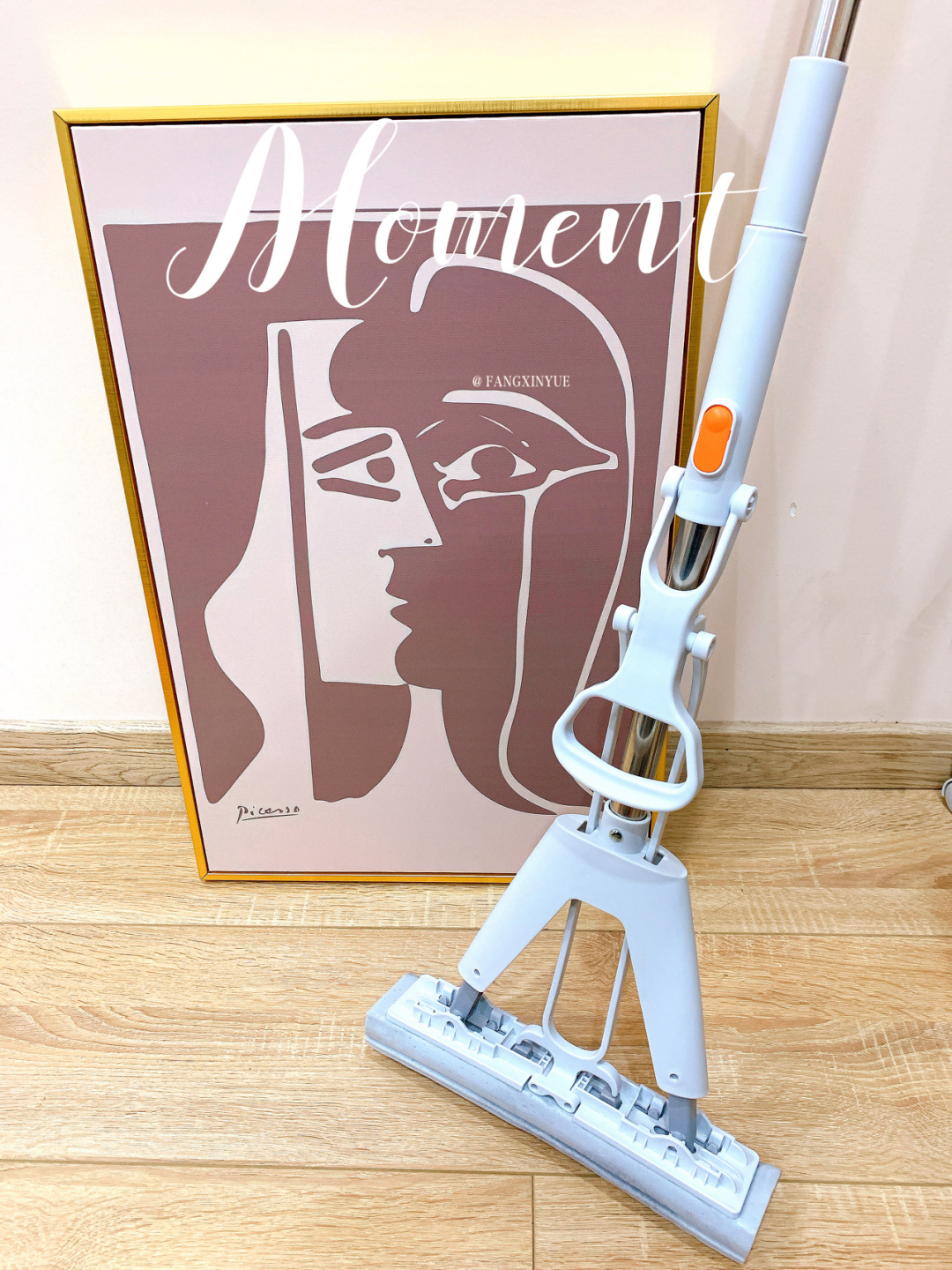 家里一般准备几个拖把怎么用,家里有这两个拖把就够了