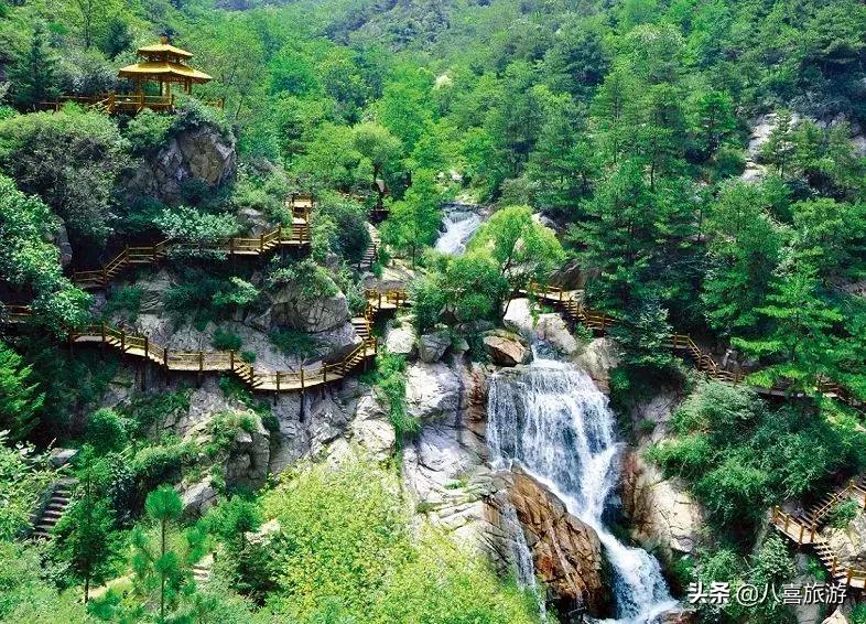 导游证山东免费的景区可以去吗,山东导游证可以免费进景区吗