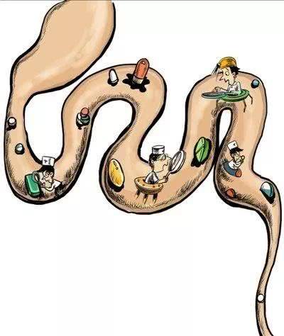 一颗小米粒的旅行,一颗米粒的旅程