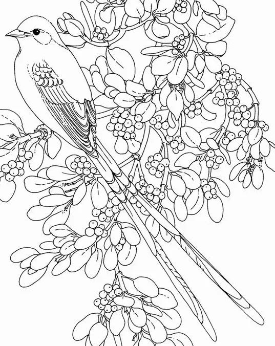 画画入门教程干货博主,基础入门画画必知