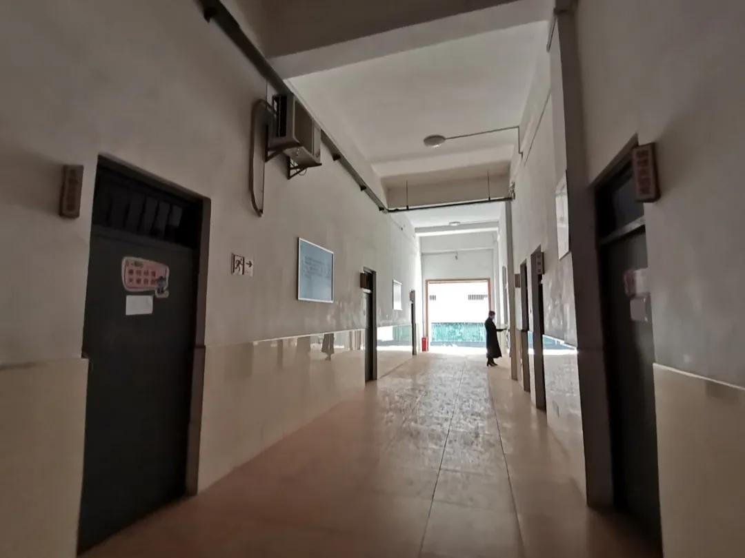 学姐校园采访,学姐探访复旦大学