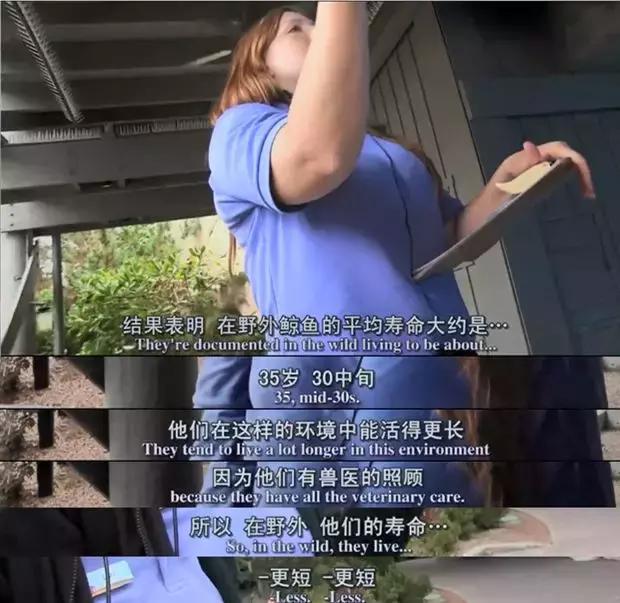 海洋馆的海洋动物表演,小孩子看的海洋动物视频