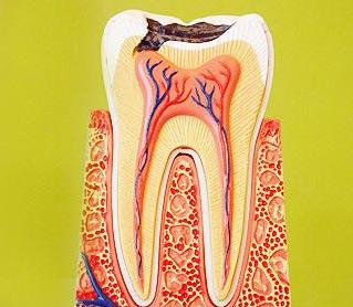 孩子牙痛要怎么解决,小朋友牙痛的原因有哪些呢