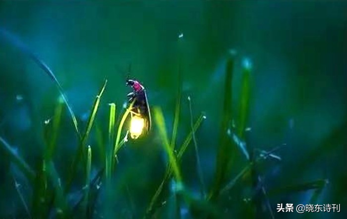 「黎明拾穗」43期诗词41首,首页篇篇造网红,风流戏子逞英雄