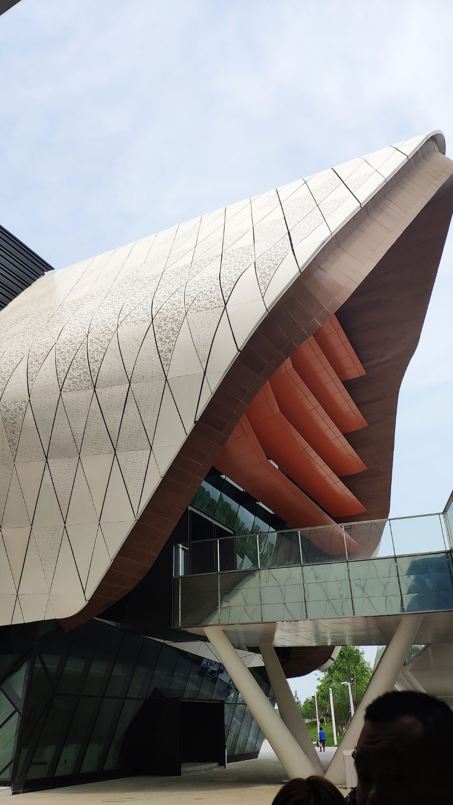 海洋博物馆带孩子游玩攻略,国家海洋博物馆最全攻略来了