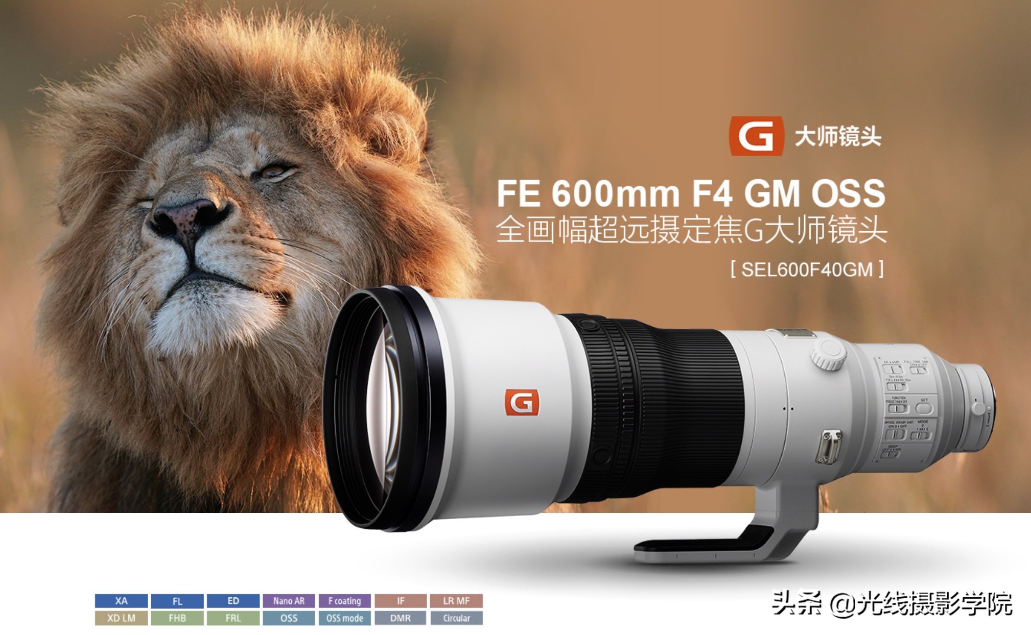 2021全画幅无反微单相机推荐,2020年微单相机好还是单反相机好