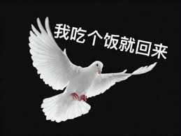 常在河边走哪有不湿鞋，玩游戏这么多年，你见过哪些有名的鸽子？