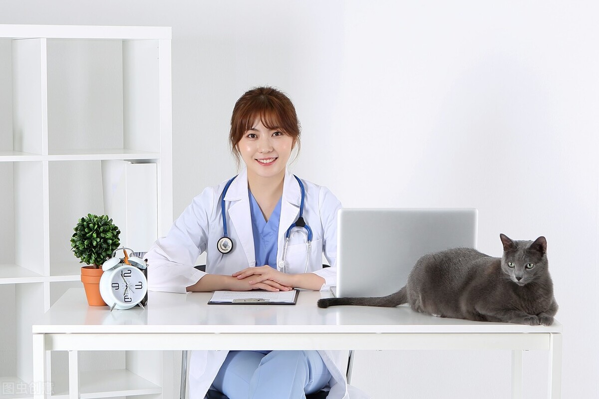 狗狗细小病毒只是呕吐小便黄,狗狗呕吐是不是细小病毒症状